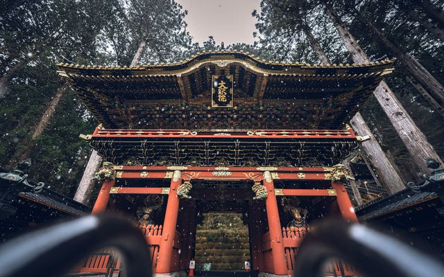 Nikko World Heritage Tour