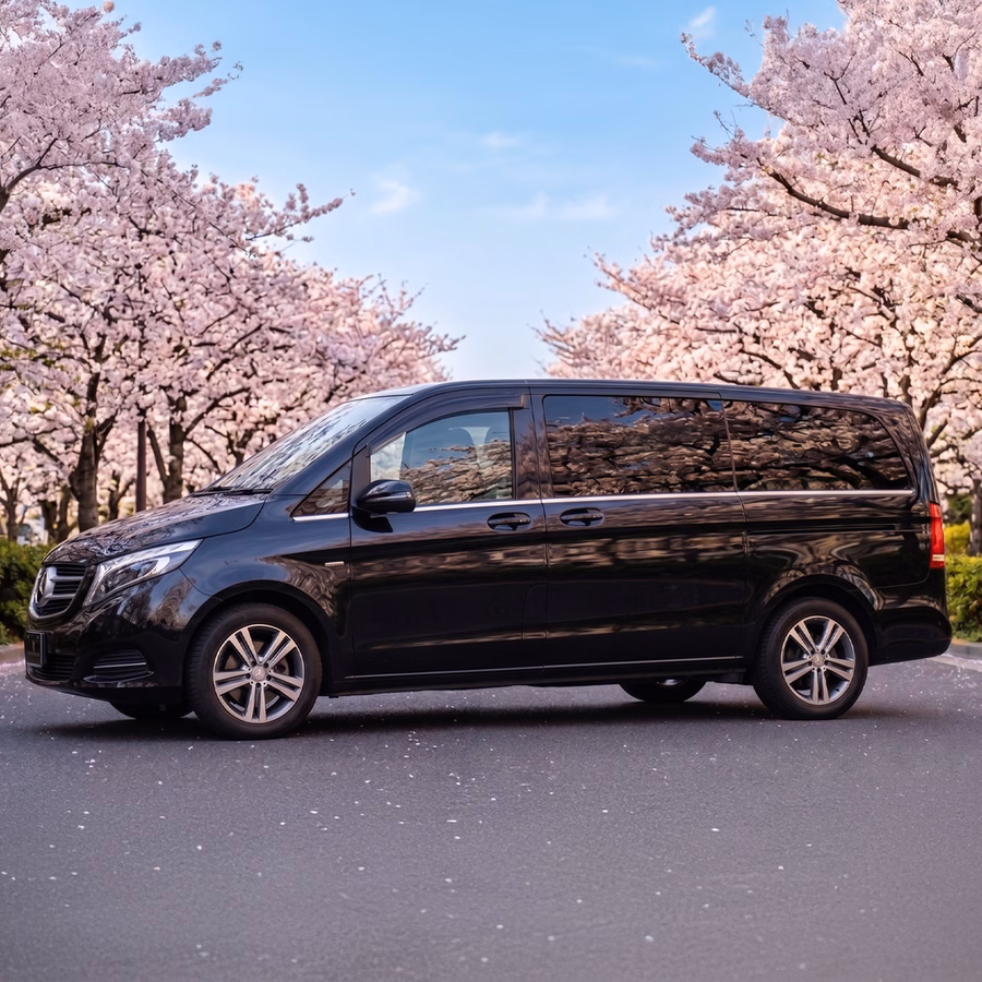Mercedes V-class — 1