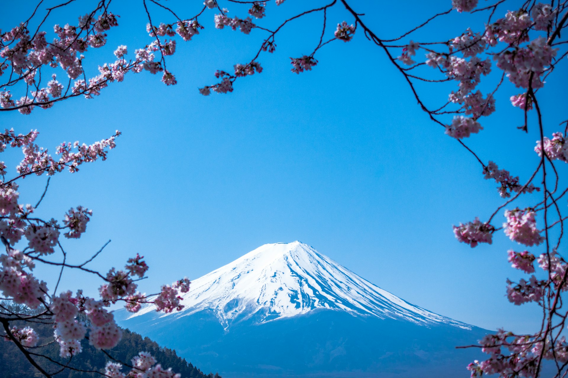 Luxury Day Trips from Tokyo